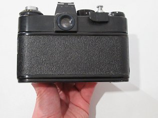 IMG_7517