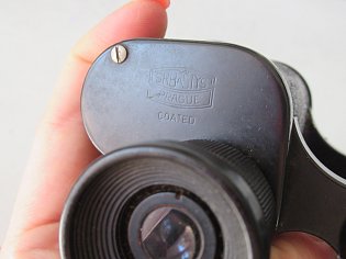 IMG_0137