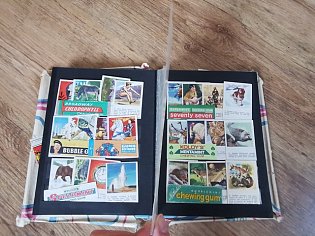IMG_20241023_155957