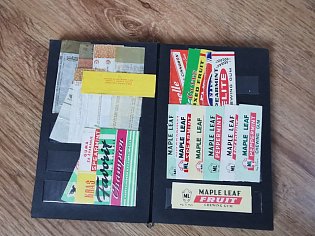 IMG_20241023_155749