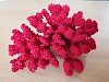 IMG_20241118_125534
