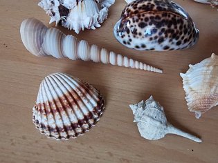 IMG_20241118_130807