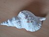 IMG_20241118_132404
