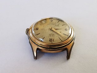 IMG_20241229_124559