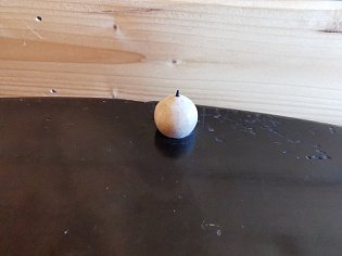 IMG_20250305_094103
