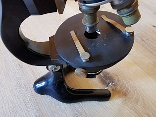 IMG_20250305_094900