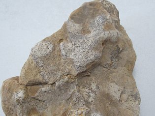 IMG_6671