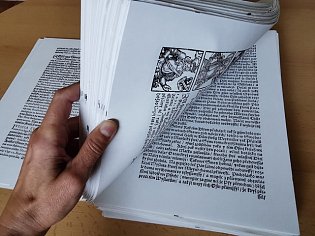 IMG_20250722_112449