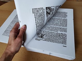 IMG_20250722_112455