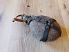IMG_20250722_123244