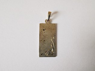 IMG_20231106_101518