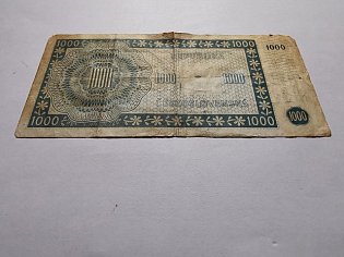IMG_20231114_113956